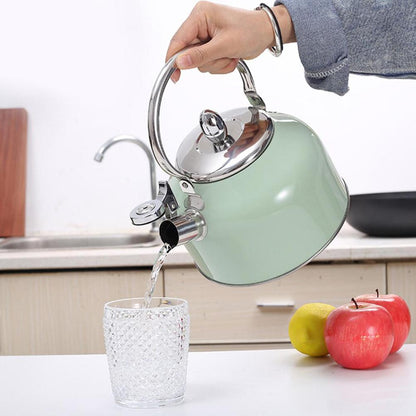 Stainless Steel Whistling Tea Kettle 2.5L by HitMyNeed