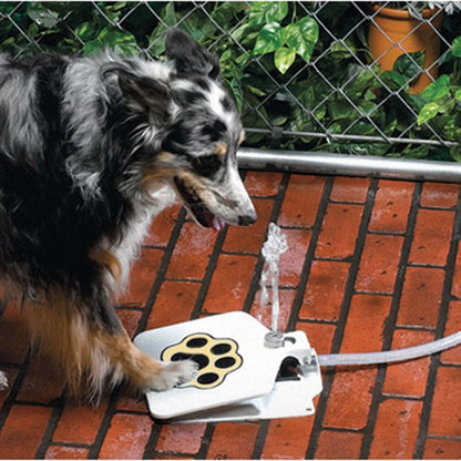 Step-On Pet Drinking Fountain for Fresh Water by HitMyNeed