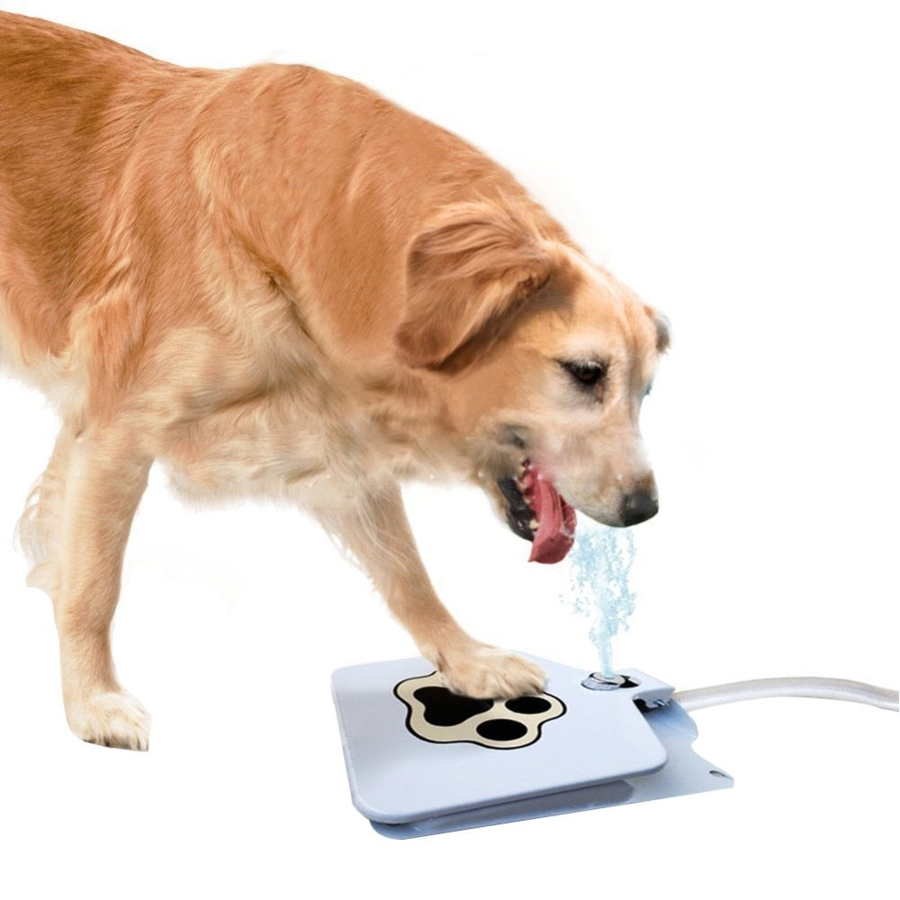 Step-On Pet Drinking Fountain for Fresh Water by HitMyNeed