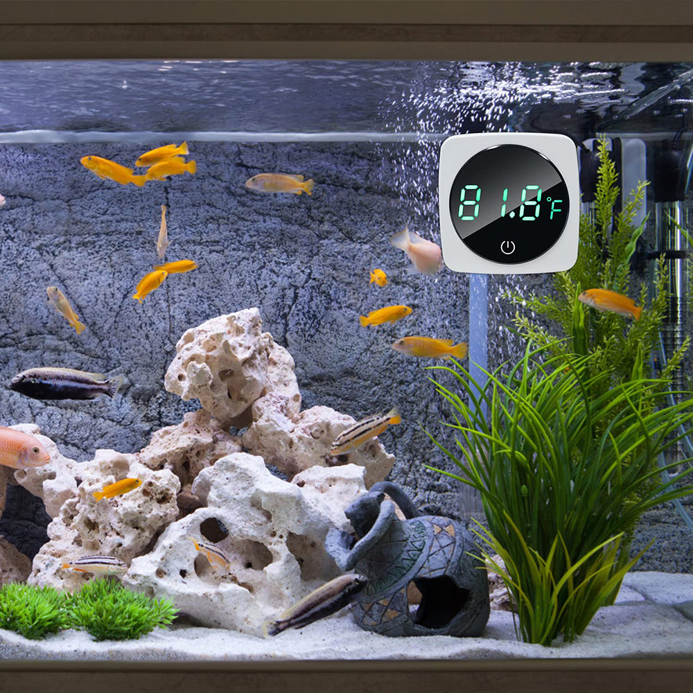 Stick-On Digital Aquarium Thermometer (°C & °F) by HitMyNeed