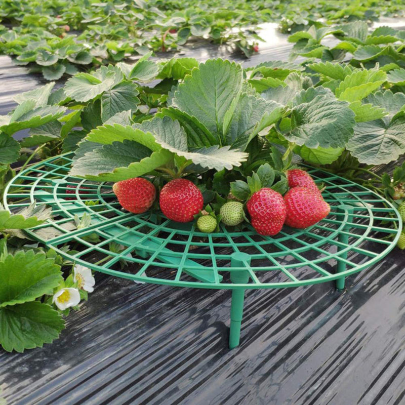 Strawberry Support Frame Stand Set (5 Pack) by HitMyNeed