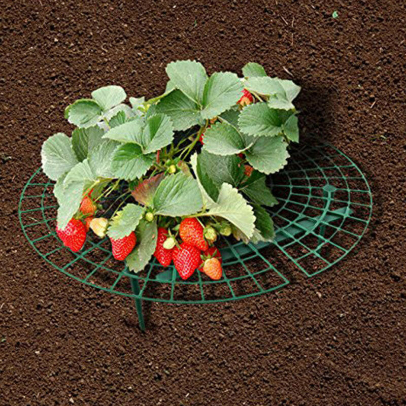 Strawberry Support Frame Stand Set (5 Pack) by HitMyNeed