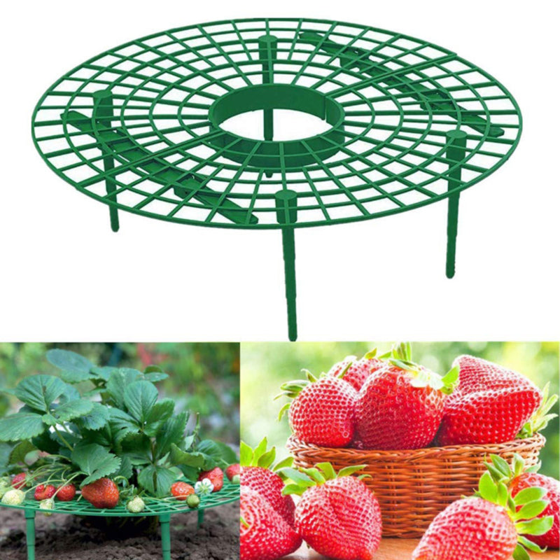 Strawberry Support Frame Stand Set (5 Pack) by HitMyNeed