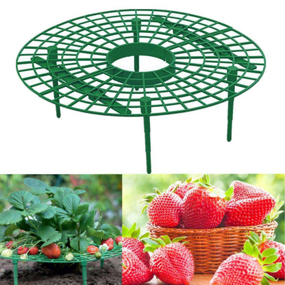 Strawberry Support Frame Stand Set (5 Pack) by HitMyNeed