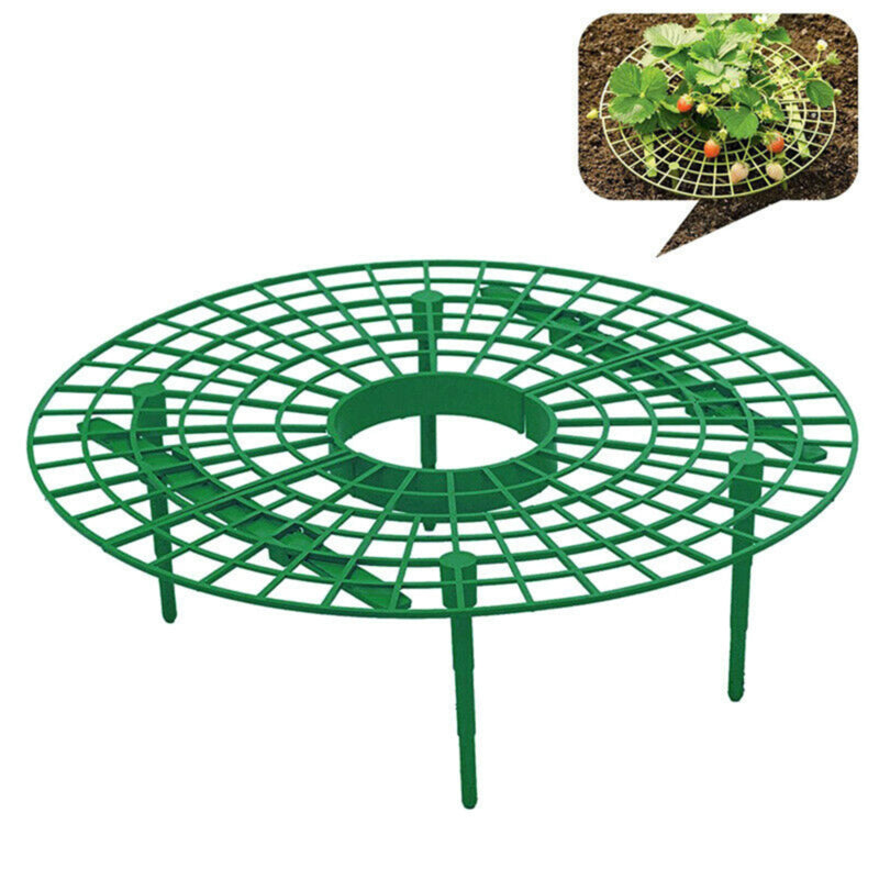 Strawberry Support Frame Stand Set (5 Pack) by HitMyNeed