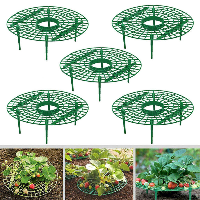 Strawberry Support Frame Stand Set (5 Pack) by HitMyNeed