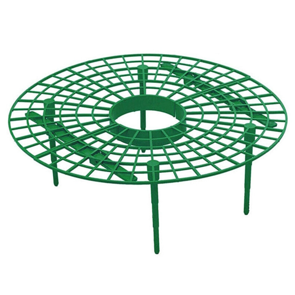 Strawberry Support Plastic Plant Frame 30cm by HitMyNeed