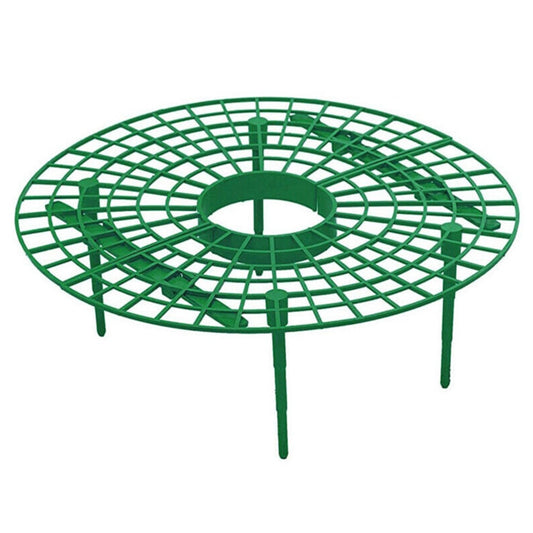 Strawberry Support Plastic Plant Frame 30cm by HitMyNeed