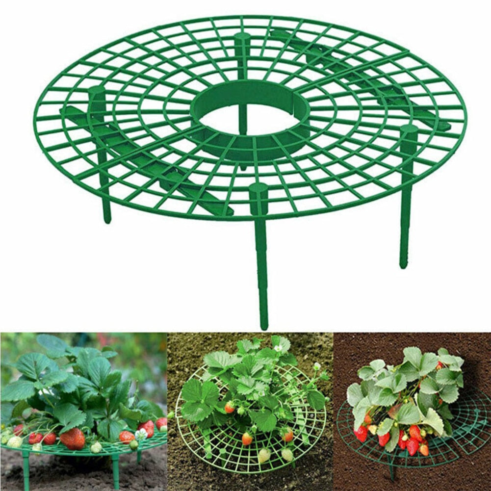 Strawberry Support Plastic Plant Frame 30cm by HitMyNeed