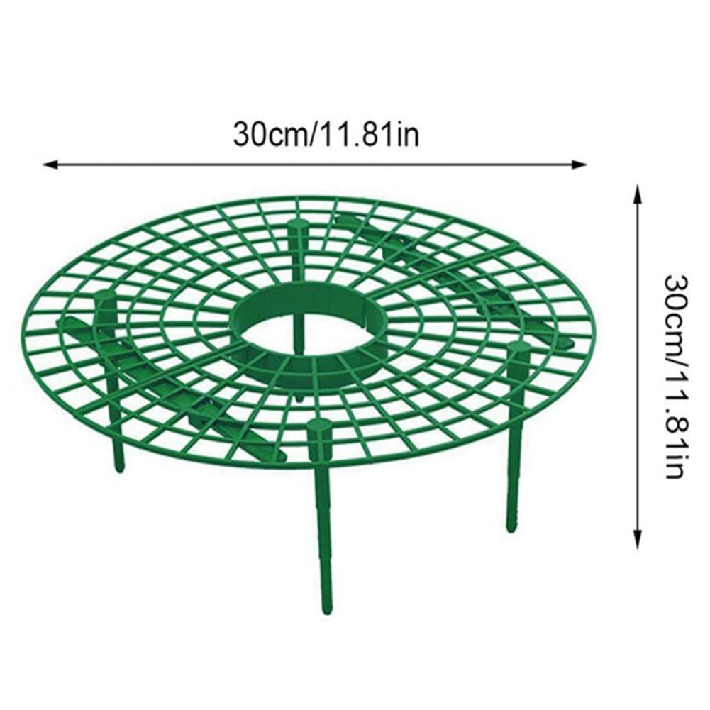 Strawberry Support Plastic Plant Frame 30cm by HitMyNeed