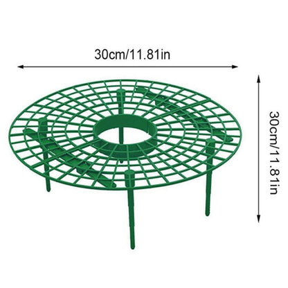 Strawberry Support Plastic Plant Frame 30cm by HitMyNeed