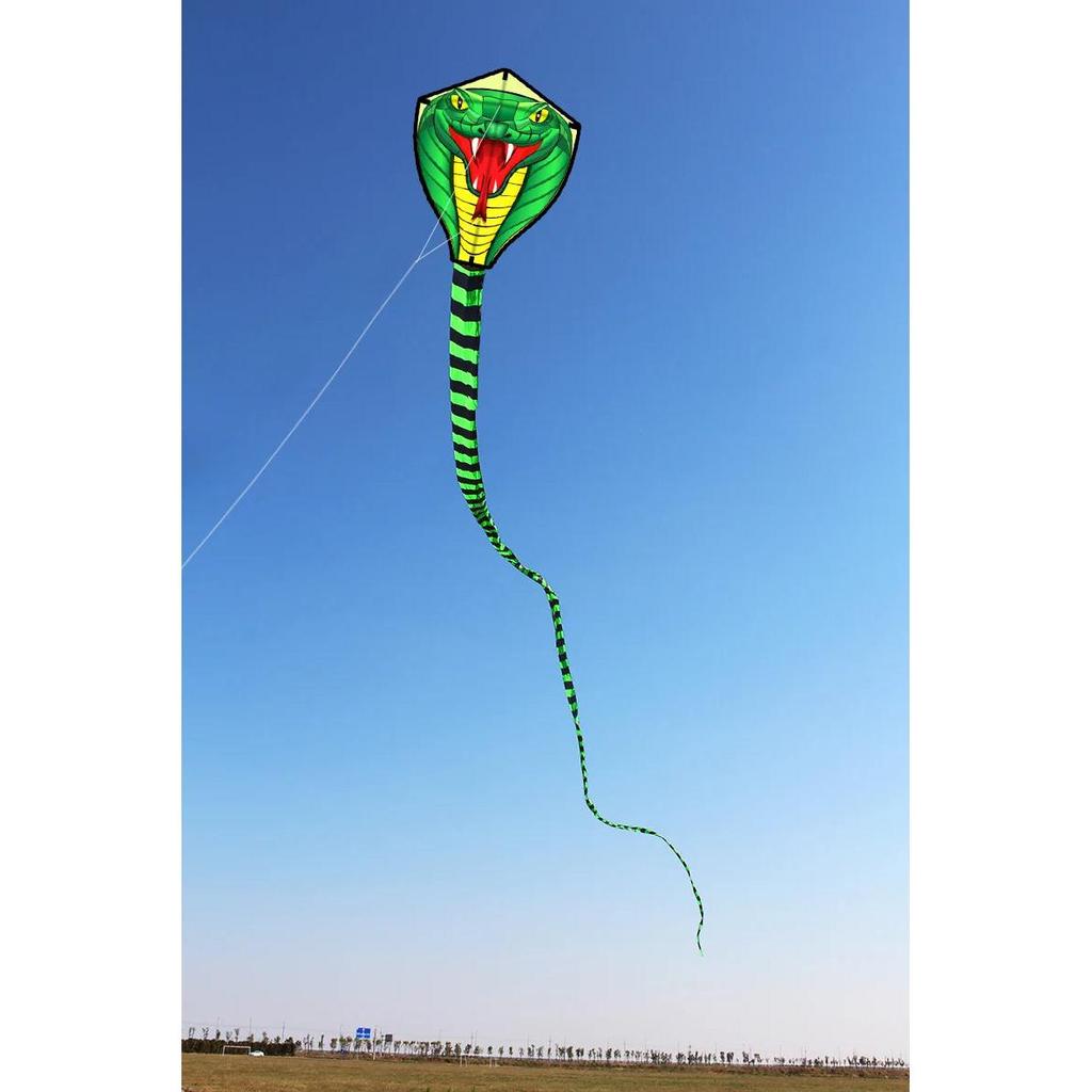 Strong Snake Kite with 8m Tail for Kids & Adults by HitMyNeed