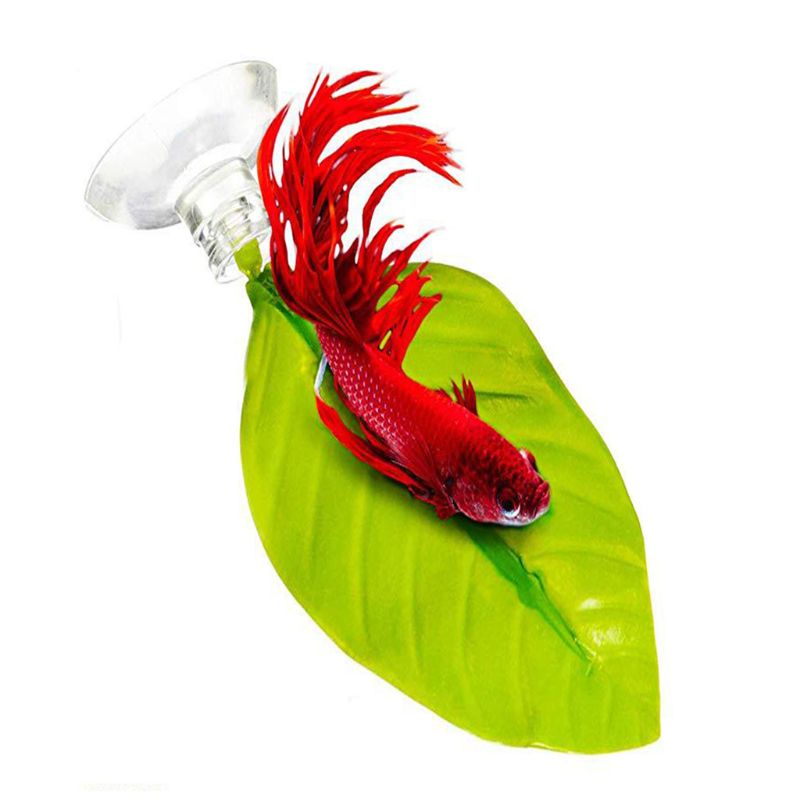 Suction Cup Betta Leaf Hammock for Aquariums by HitMyNeed