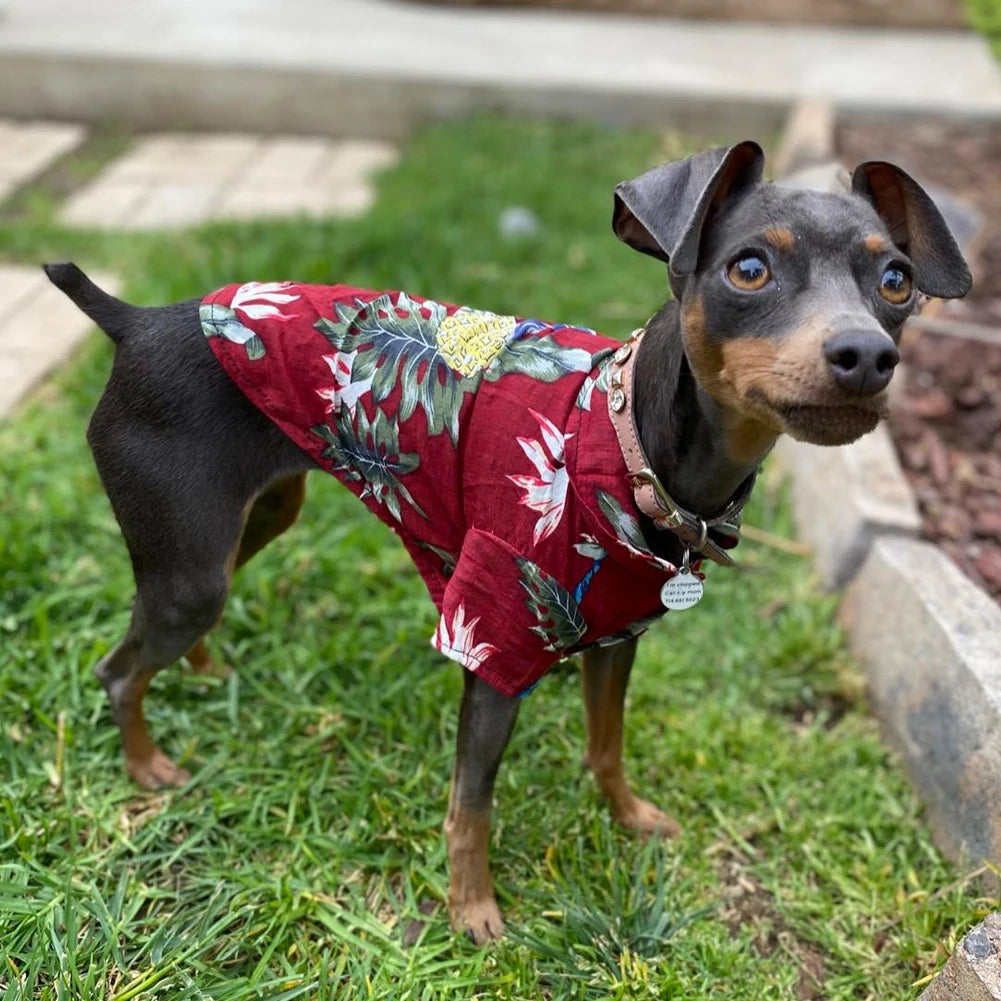 Summer Aloha Print Dog Shirt by HitMyNeed