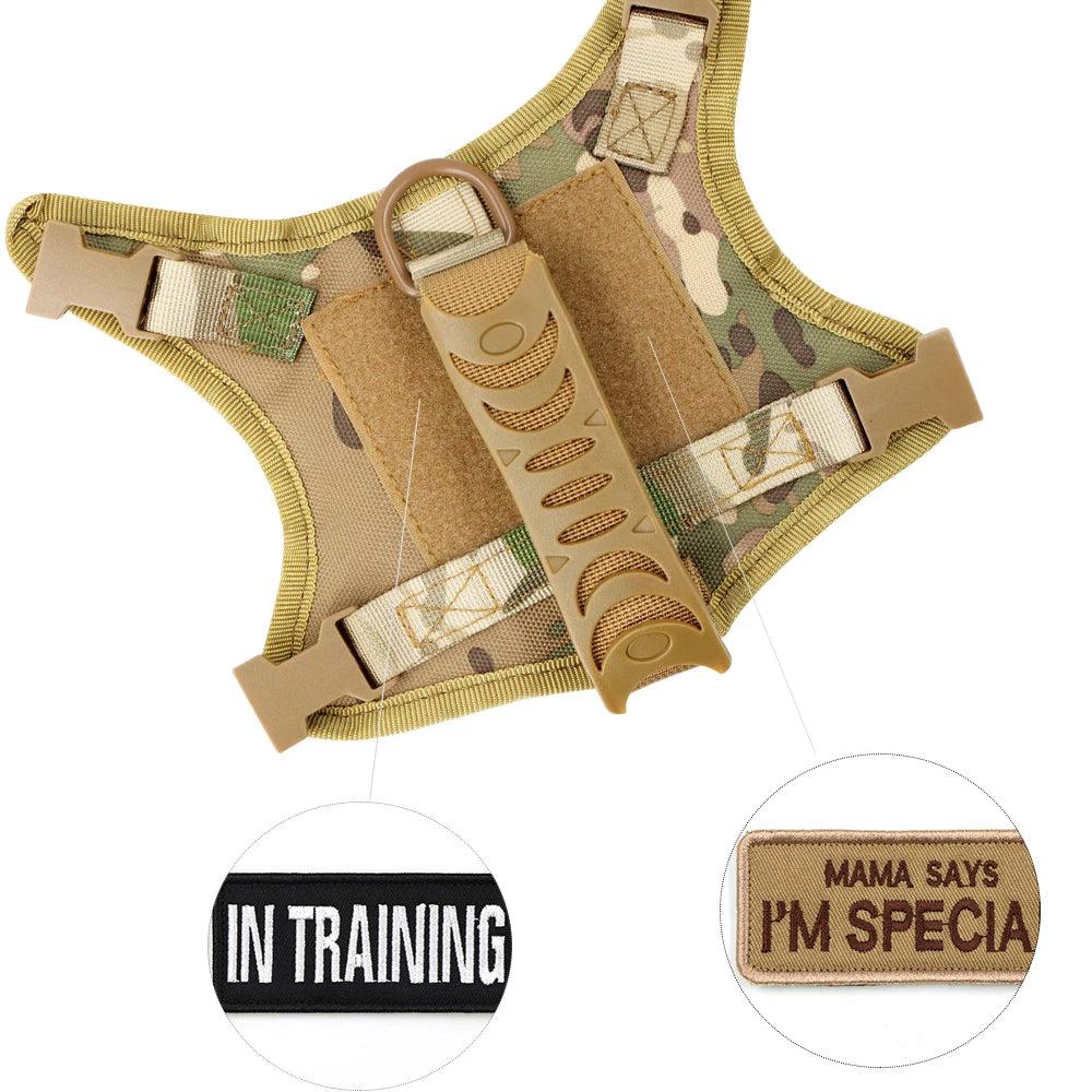 Tactical Cat & Small Dog Harness Vest with Leash by HitMyNeed