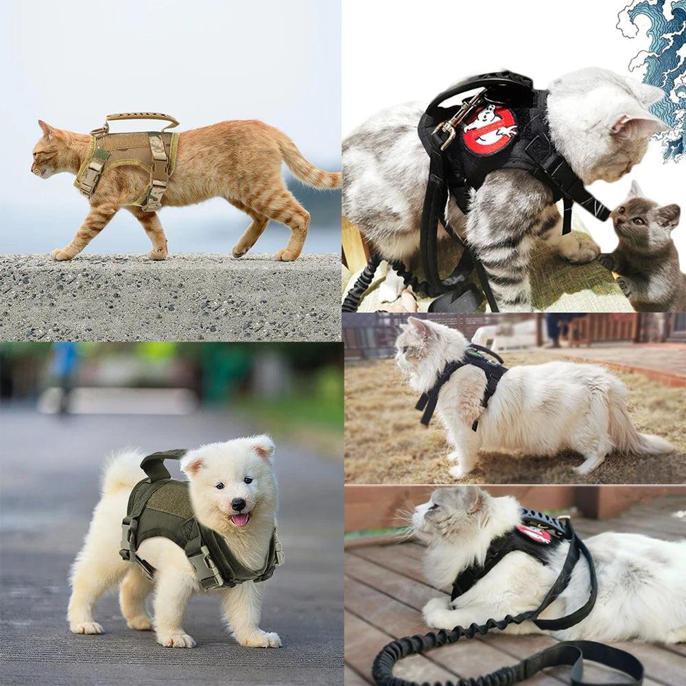 Tactical Cat & Small Dog Harness Vest with Leash by HitMyNeed