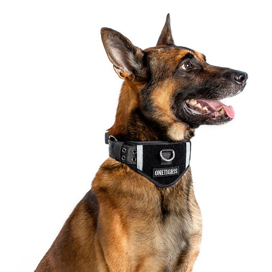 Tactical Dog Collar with Handle and Patch Area by HitMyNeed
