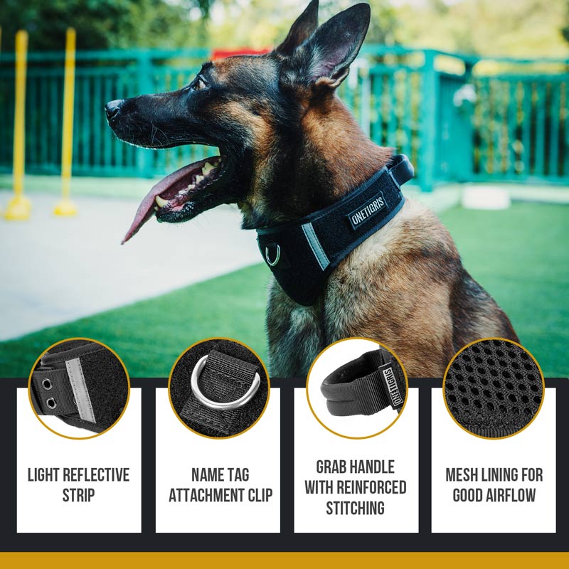 Tactical Dog Collar with Handle and Patch Area by HitMyNeed
