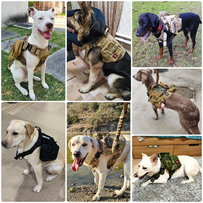 Tactical Large Dog Harness & Leash Set for K9 Training by HitMyNeed