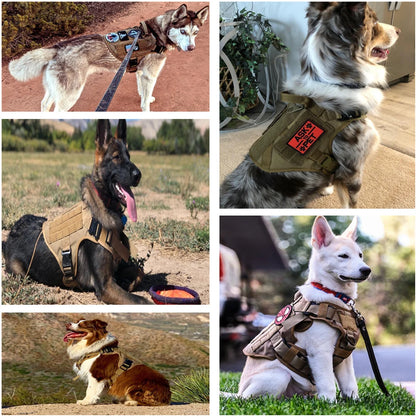 Tactical Large Dog Harness & Leash Set for K9 Training by HitMyNeed