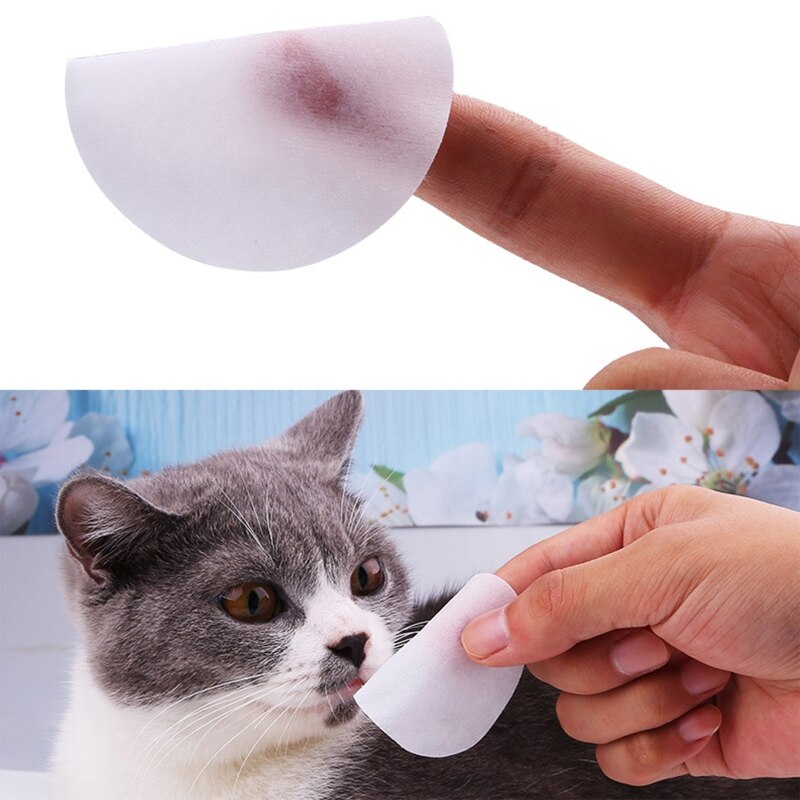 Tear Stain Cat Eye Wipes (100 Count Canister) by HitMyNeed