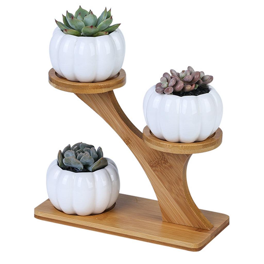 Three Slot Wooden Succulent Rack Plant Stand by HitMyNeed