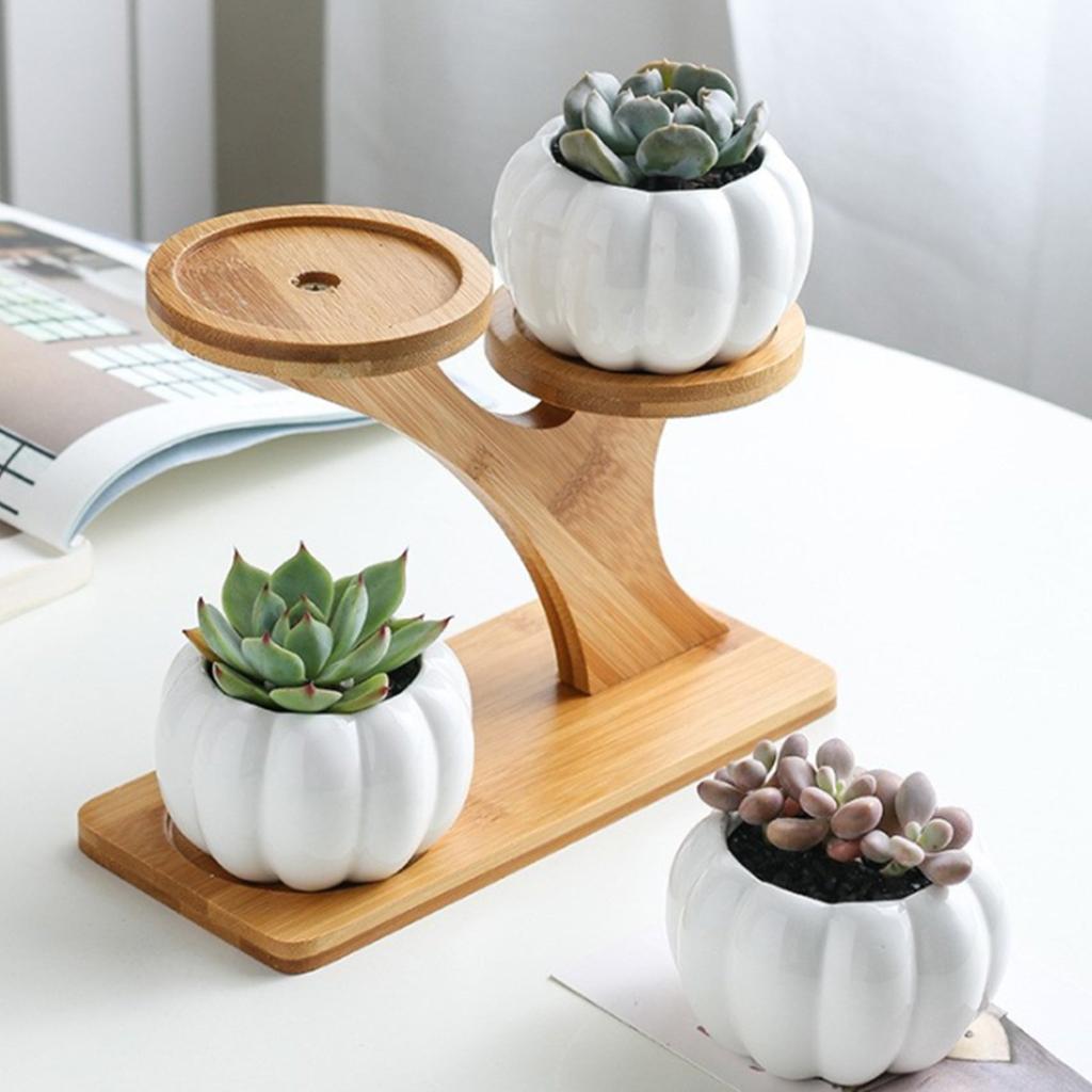 Three Slot Wooden Succulent Rack Plant Stand by HitMyNeed