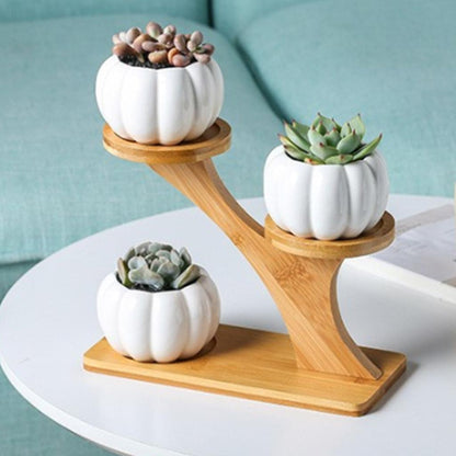 Three Slot Wooden Succulent Rack Plant Stand by HitMyNeed