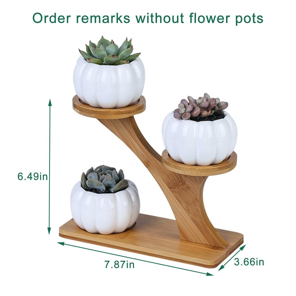 Three Slot Wooden Succulent Rack Plant Stand by HitMyNeed