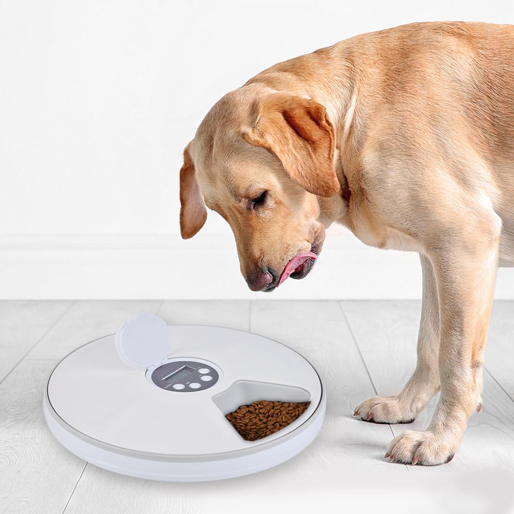 Timed Dog Feeder with 6-Grid Automatic Food Tray by HitMyNeed