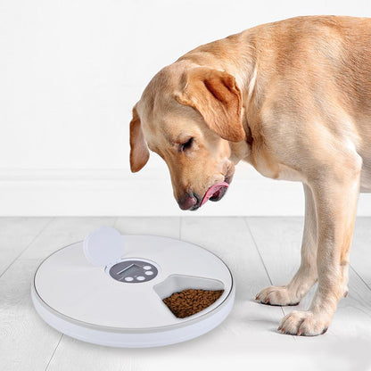 Timed Dog Feeder with 6-Grid Automatic Food Tray by HitMyNeed