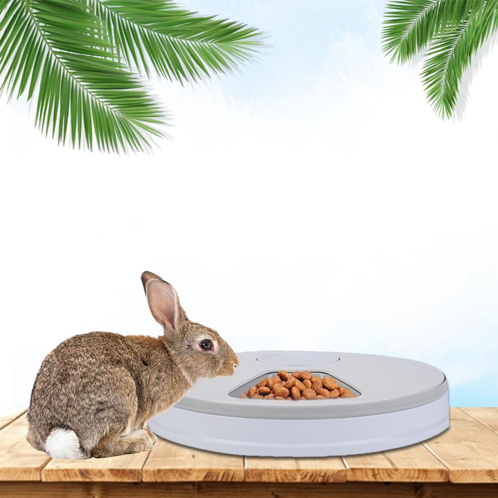 Timed Dog Feeder with 6-Grid Automatic Food Tray by HitMyNeed