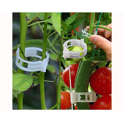 Tomato Plant Support Clips 25mm (100 Pack) by HitMyNeed