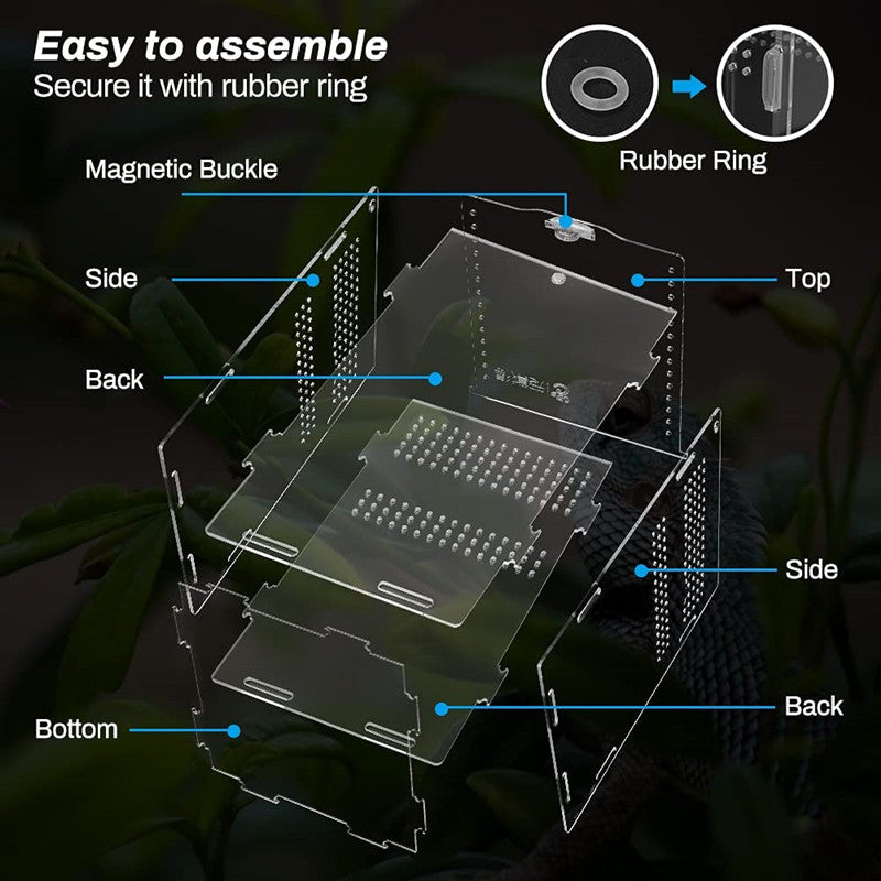 Transparent Acrylic Tarantula Enclosure Box by HitMyNeed