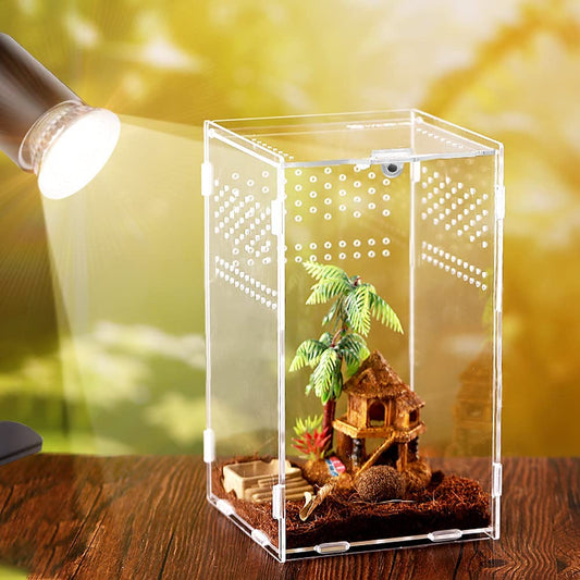 Transparent Acrylic Tarantula Enclosure Box Large: 12 x 12 x 20 cm by HitMyNeed