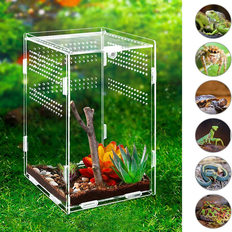 Transparent Acrylic Tarantula Enclosure Box Medium: 15 x 15 x 15 cm by HitMyNeed
