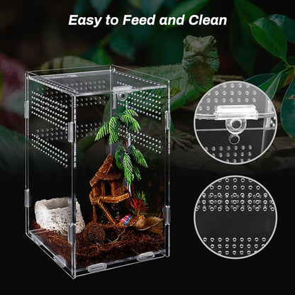 Transparent Acrylic Tarantula Enclosure Box Small: 8 x 7 x 10 cm by HitMyNeed