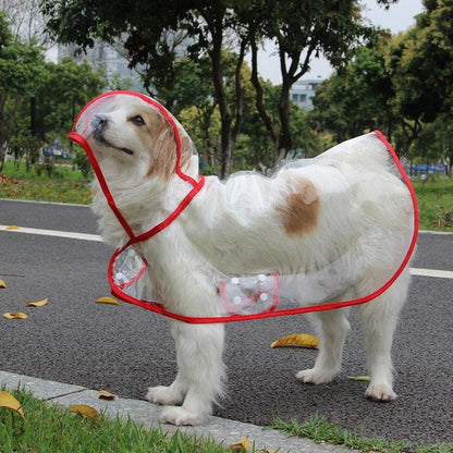 Transparent Dog Raincoat with Leash Opening by HitMyNeed