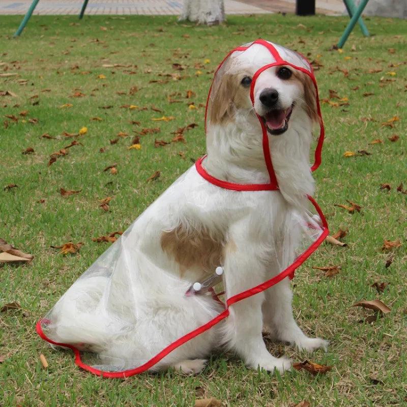 Transparent Dog Raincoat with Leash Opening by HitMyNeed