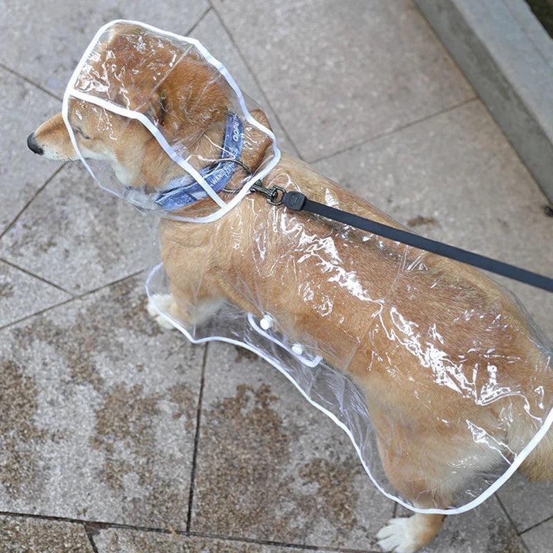 Transparent Dog Raincoat with Leash Opening by HitMyNeed
