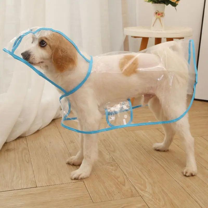 Transparent Dog Raincoat with Leash Opening blue s-suit-1-2-2kg by HitMyNeed