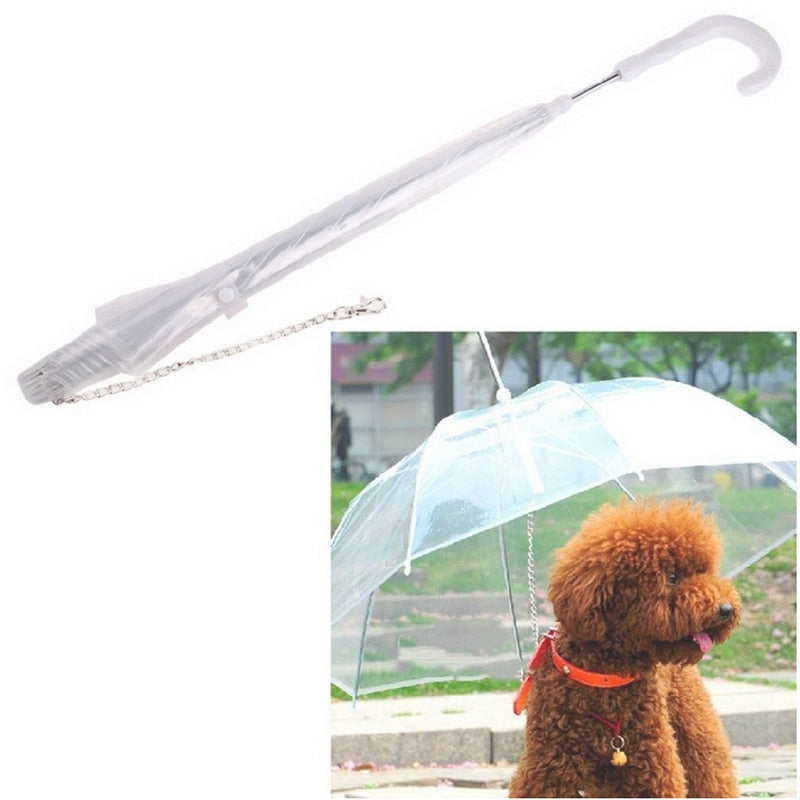 Transparent Dog Umbrella Leash with Built-In Chain by HitMyNeed