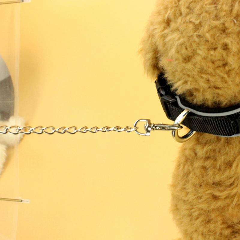 Transparent Dog Umbrella Leash with Built-In Chain by HitMyNeed