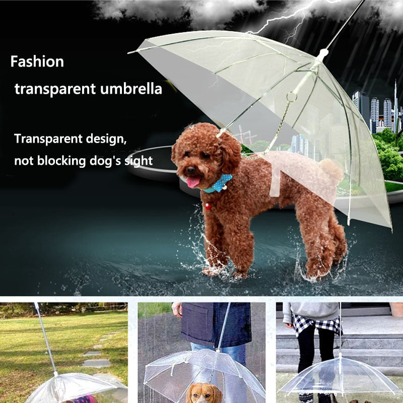 Transparent Dog Umbrella with Built‑In Leash by HitMyNeed