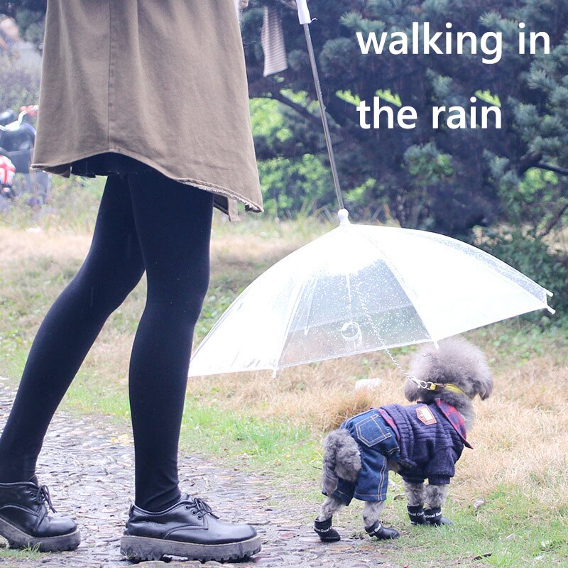 Transparent Dog Umbrella with Built‑In Leash by HitMyNeed
