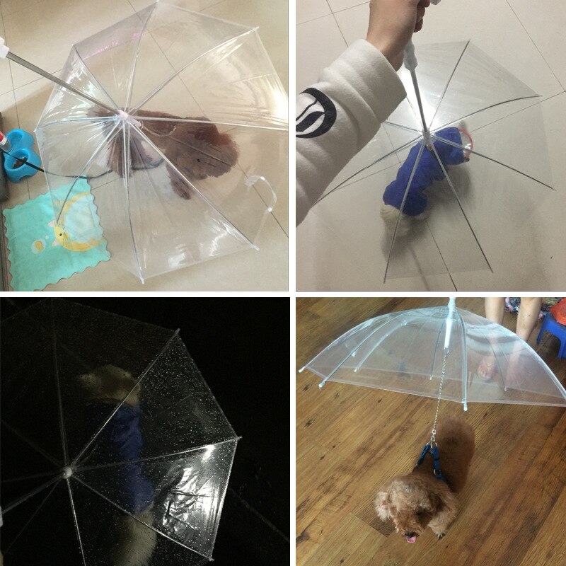 Transparent Dog Umbrella with Built‑In Leash by HitMyNeed