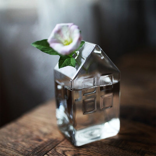 Transparent Glass House Vase for Small Floral Displays by HitMyNeed
