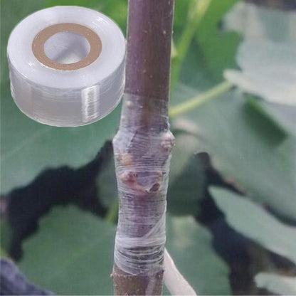 Transparent Grafting Tape for Plants 20mmx100m by HitMyNeed