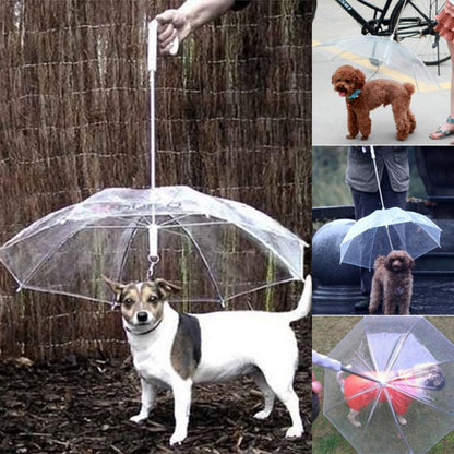 Transparent Pet Umbrella with Built-In Dog Leash by HitMyNeed