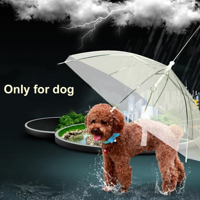 Transparent Pet Umbrella with Built-In Dog Leash by HitMyNeed